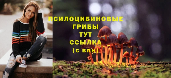 мет Рославль