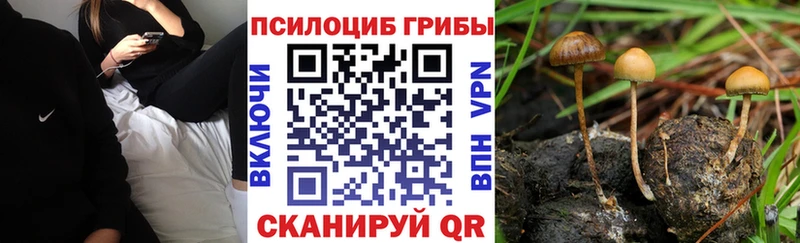 Псилоцибиновые грибы MAGIC MUSHROOMS  мега зеркало  Сельцо 